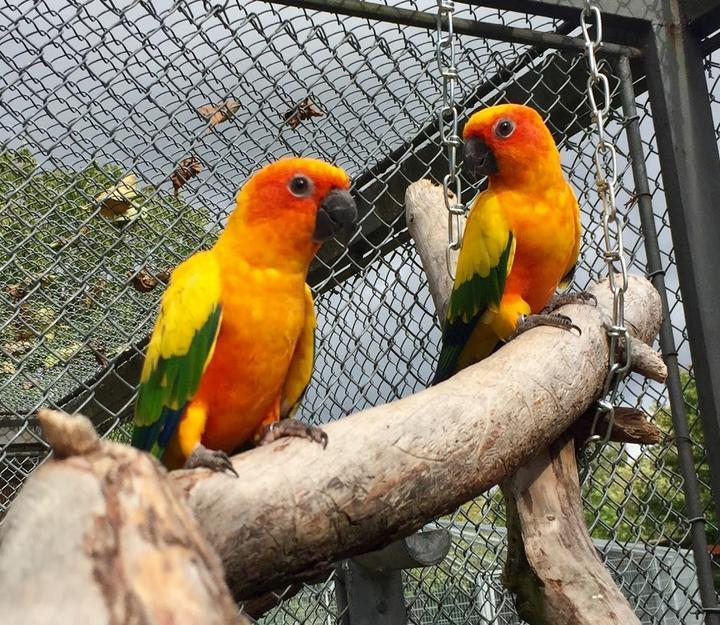 Vogelpark Oberhausen